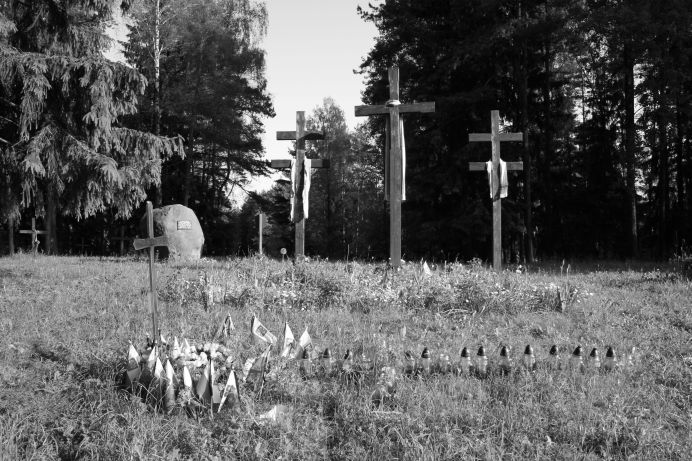 Kreuze auf einer Wiese vor einem Wald