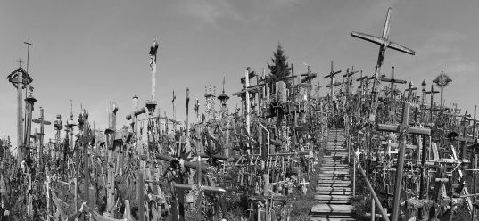 Foto: Aufsicht auf einen Hügel voller Kreuze